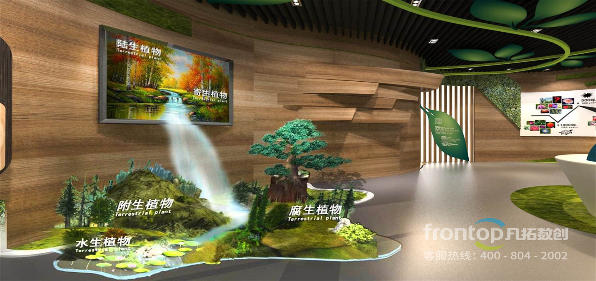 ���ϳ�������ֲ��԰����չ�����