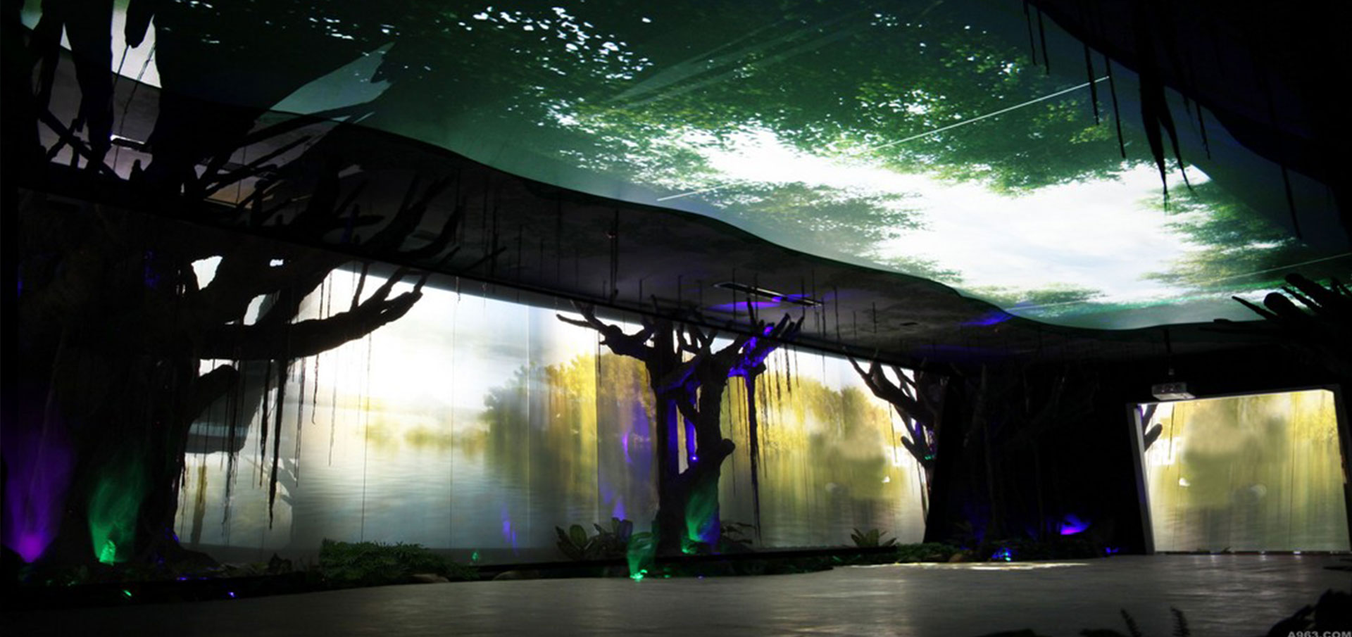 �㶫�»��Ƥ�Ļ���������