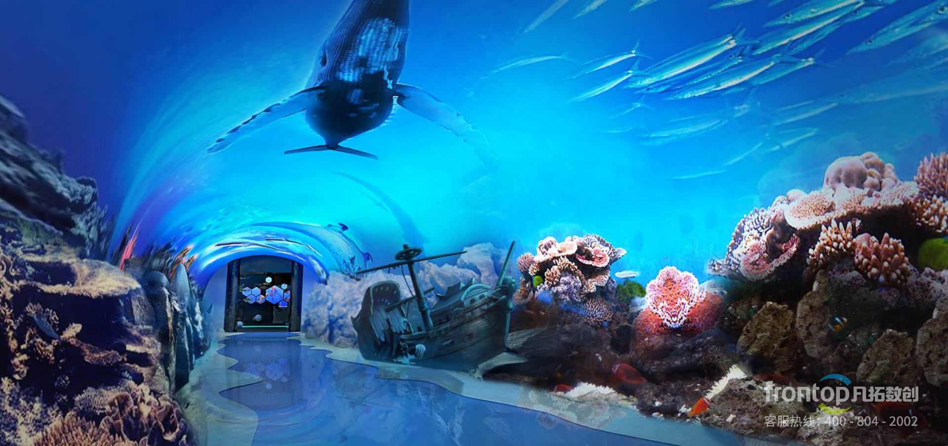 �����Ž���������