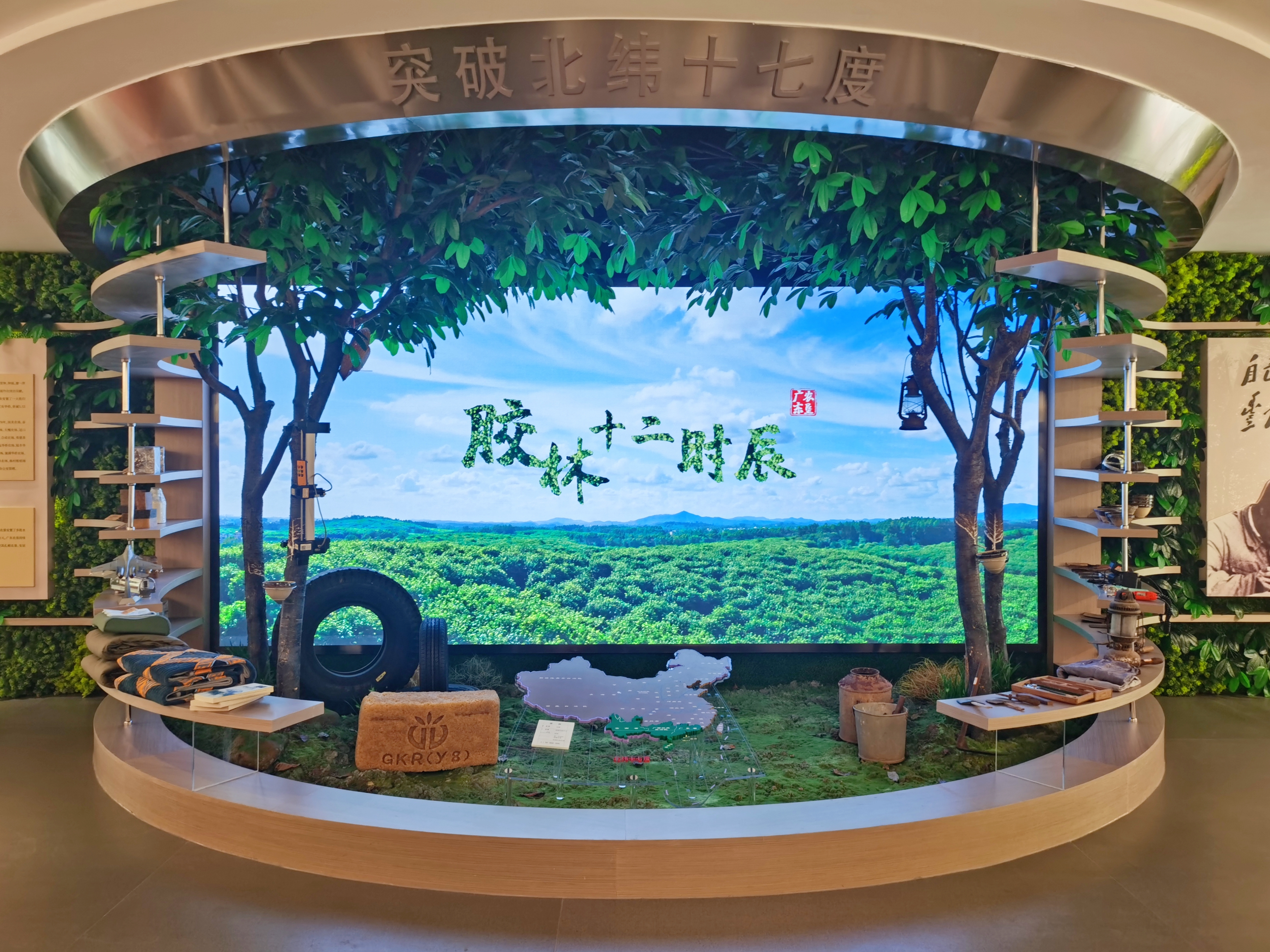 �㶫ũ��չ�������