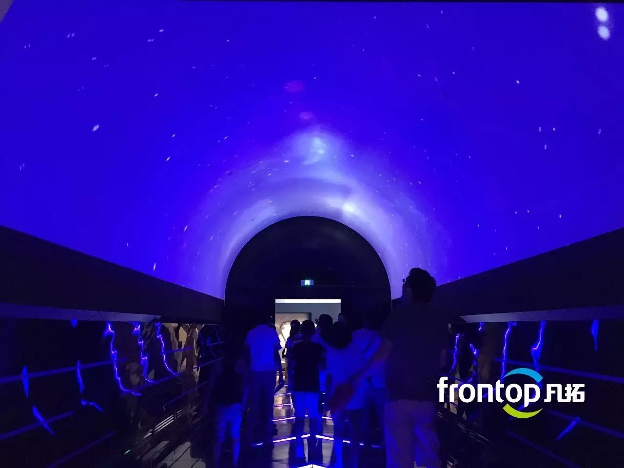 ɭ��������-׷�󿵽�,����һ������