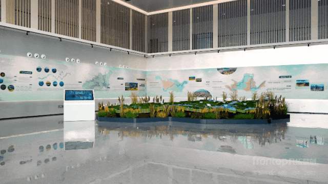 ɭ��������-׷�󿵽�,����һ������