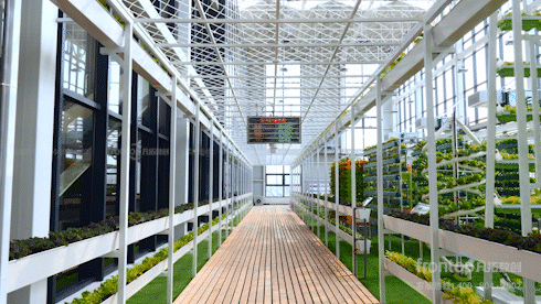 ɭ��������-׷�󿵽�,����һ������