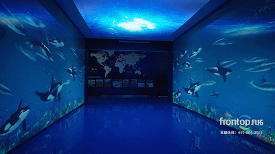 ɭ��������-׷�󿵽�,����һ������