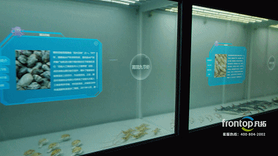 ɭ��������-׷�󿵽�,����һ������