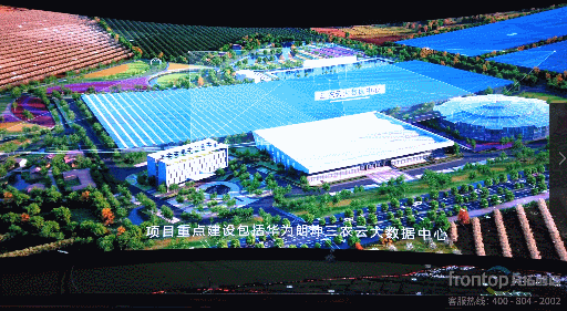 ɭ��������-׷�󿵽�,����һ������