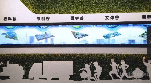 ɭ��������-׷�󿵽�,����һ������